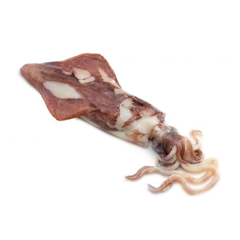 CALAMAR MARRUECOS 3P ENV. 1X10KG