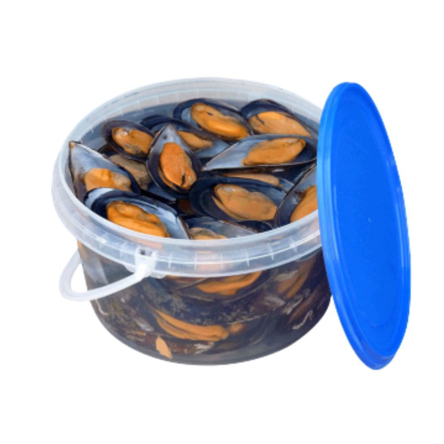 MEJILLON 1/2 CONCHA EXTRA 60/80 PZAS CUBO 1KG (4)